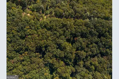 0 Shadowick Mountain Road, Jasper, GA 30143 - Photo 7