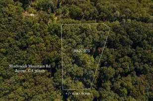 0 Shadowick Mountain Rd, Jasper, GA 30143 - Photo 1