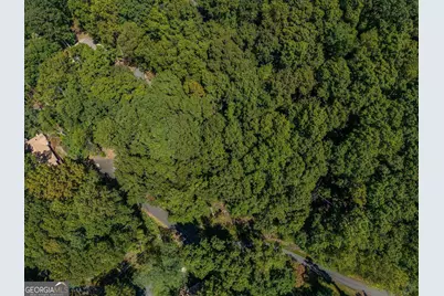 0 Shadowick Mountain Road, Jasper, GA 30143 - Photo 15