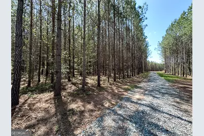 0 Jordan Road #17.79 ACRES, Monticello, GA 31064 - Photo 9