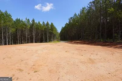 0 Jordan Road #17.79 ACRES, Monticello, GA 31064 - Photo 13