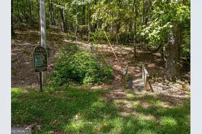 0 Denny Ridge Road, Jasper, GA 30143 - Photo 11