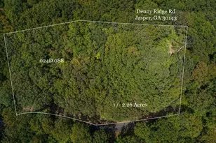 0 Denny Ridge Rd, Jasper, GA 30143 - Photo 1