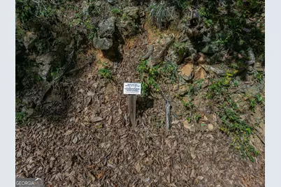 0 Denny Ridge Road, Jasper, GA 30143 - Photo 9