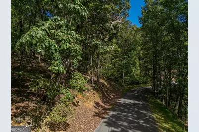 0 Denny Ridge Road, Jasper, GA 30143 - Photo 3