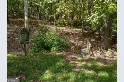 0 Denny Ridge Road, Jasper, GA 30143 - Photo 11