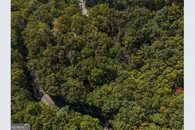 0 Little Hendricks Mountain Road, Jasper, GA 30143 - Photo 9