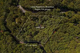 0 Little Hendricks Mountain Rd, Jasper, GA 30143 - Photo 1
