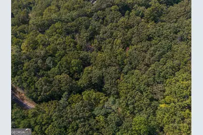 0 Little Hendricks Mountain Road, Jasper, GA 30143 - Photo 3