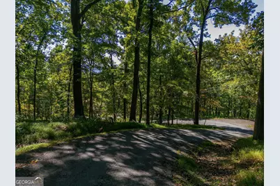 0 Valley View Vista, Jasper, GA 30143 - Photo 3