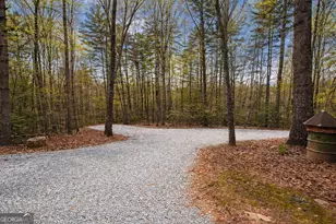 396 Dover Falls Trail, Ellijay, GA 30540 - Photo 49