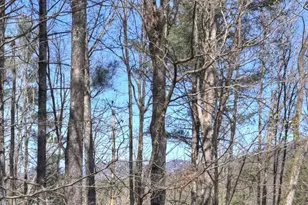 396 Dover Falls Trail, Ellijay, GA 30540 - Photo 49