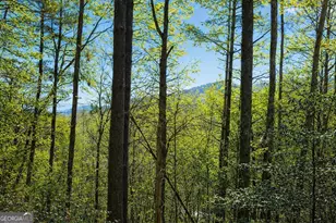 396 Dover Falls Trail, Ellijay, GA 30540 - Photo 5