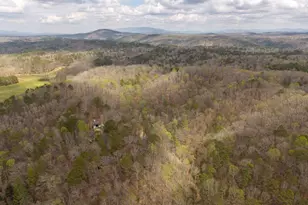 134 Nicholson Ln, Talking Rock, GA 30175 - Photo 71