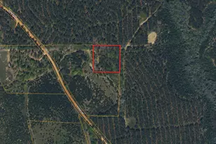 0 Nursery Rd, Buena Vista, GA 31803 - Photo 1