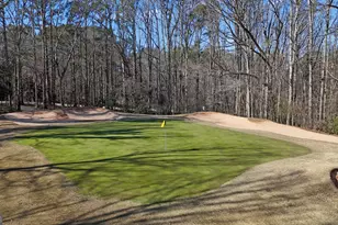 111 Greensway, Peachtree City, GA 30269 - Photo 77