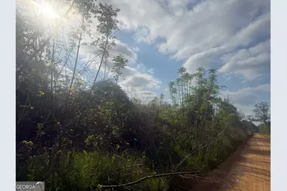 00 Ed Varnadoe Road, Lumber City, GA 31549 - Photo 3