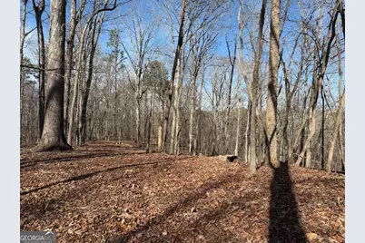 131 Nicholson Lane, Talking Rock, GA 30175 - Photo 7