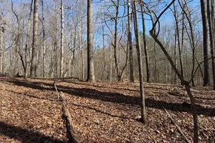 131 Nicholson Ln, Talking Rock, GA 30175 - Photo 1