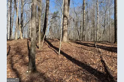 131 Nicholson Lane, Talking Rock, GA 30175 - Photo 3