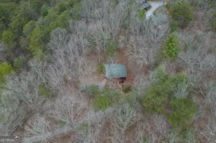 145 Fox Run Ln, Blue Ridge, GA 30513 - Photo 53