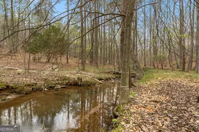 3880 Fern Springs Lane, Douglasville, GA 30135 - Photo 15