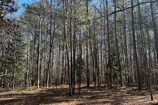 178 Crabapple Ln, Tyrone, GA 30290 - Photo 15