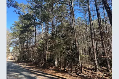 178 Crabapple Lane, Tyrone, GA 30290 - Photo 13