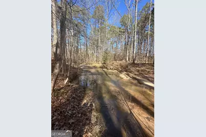 178 Crabapple Lane, Tyrone, GA 30290 - Photo 11