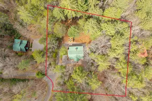 188 The Forest Road, Blue Ridge, GA 30513 - Photo 31