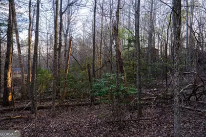 Lot 0 Delphi Hills Lane, McCaysville, GA 30555 - Photo 39