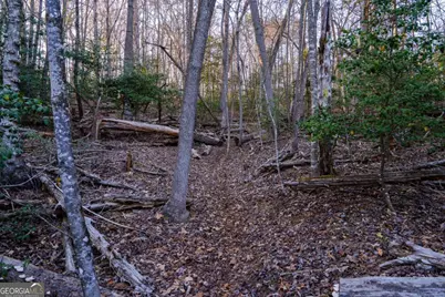 Lot 0 Delphi Hills Lane, McCaysville, GA 30555 - Photo 31