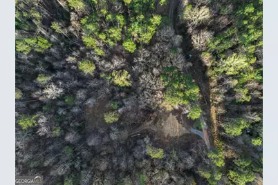 Lot 0 Delphi Hills Lane, McCaysville, GA 30555 - Photo 11