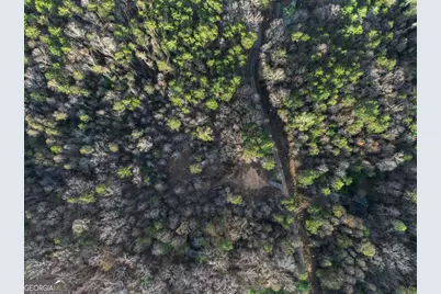 Lot 0 Delphi Hills Lane, McCaysville, GA 30555 - Photo 29