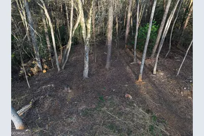 Lot 0 Delphi Hills Lane, McCaysville, GA 30555 - Photo 13