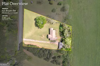 615 Brazey Road, Monticello, GA 31064 - Photo 37