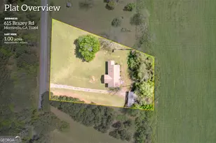 615 Brazey Rd, Monticello, GA 31064 - Photo 37