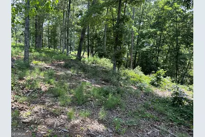Lot 314 Pebble Trace #314, Talking Rock, GA 30175 - Photo 7
