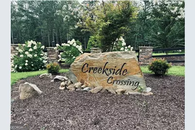 Lot 314 Pebble Trace #314, Talking Rock, GA 30175 - Photo 9