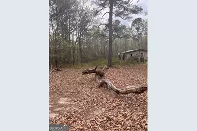 106 Missed Lane, Sparta, GA 31087 - Photo 5