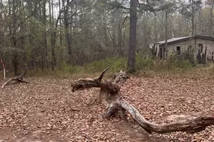 106 Missed Ln, Sparta, GA 31087 - Photo 5