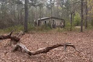 106 Missed Ln, Sparta, GA 31087 - Photo 15