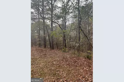 106 Missed Lane, Sparta, GA 31087 - Photo 3