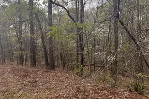 106 Missed Ln, Sparta, GA 31087 - Photo 3