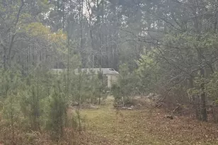 106 Missed Ln, Sparta, GA 31087 - Photo 7