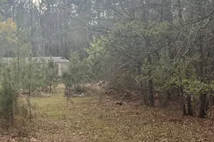 106 Missed Ln, Sparta, GA 31087 - Photo 1