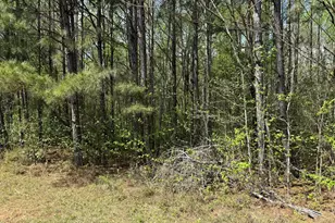 610 E Johnson St, Temple, GA 30179 - Photo 13