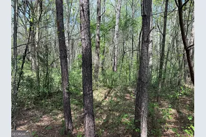 610 E Johnson Street, Temple, GA 30179 - Photo 15