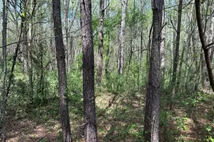 610 E Johnson St, Temple, GA 30179 - Photo 15