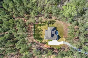 263 Bill Estes Rd, Senoia, GA 30276 - Photo 3